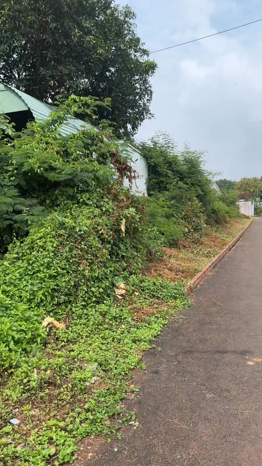 Đất nền 2 mặt tiền đường 84, phường Tam Long 152m² giá 1.1 tỷ - Cơ hội đầu tư vàng!