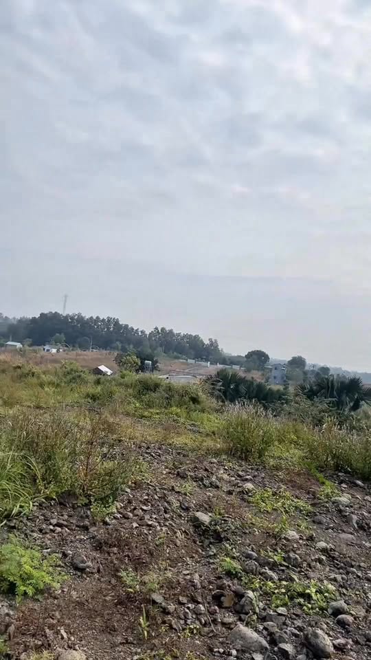 Đất làm vườn nghỉ dưỡng Suối Rao Châu Đức 7200m² giá 1 tỷ - Đầu tư sinh lời cao!