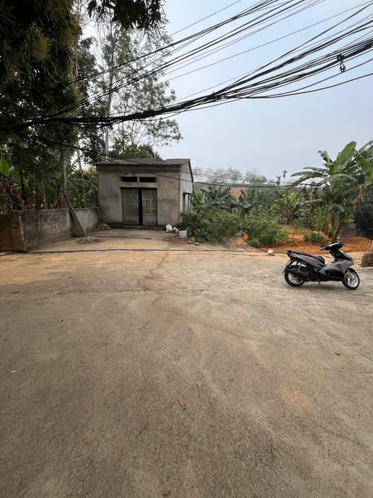 Đất nền khu phố 14 An Tường 374m² giá 2.3 tỷ - Cơ hội đầu tư sinh lời!