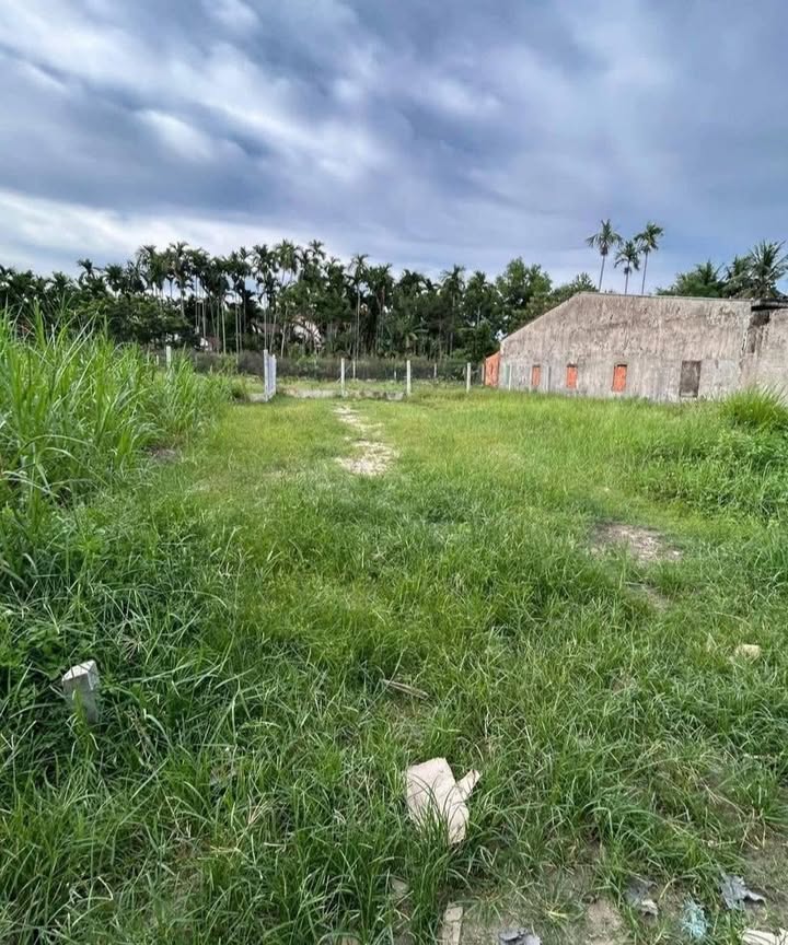 Đất nền Quảng Phú 110m² giá chỉ 500 triệu - Đường ô tô vào tận nơi!