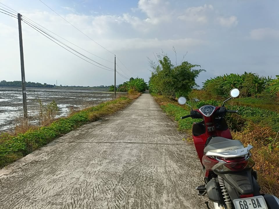 Đất ruộng 2000m² tại Mong Thọ, Châu Thành, Kiên Giang - Giá chỉ 590 triệu!