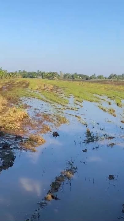 Đất nông nghiệp 162.000m² tại xã Phú Lợi, huyện Giang Thành - Giá chỉ 75 triệu!