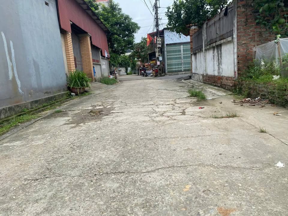 Lô đất đẹp 97.4m² Đình Trung, Thư Lâm - Đường ô tô tránh, giá chỉ 600 triệu!