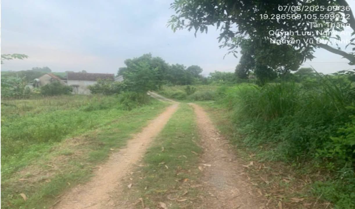 Đất nền xã Quỳnh Thắng, huyện Quỳnh Lưu, Nghệ An 5010m² giá 3.036 tỷ - Đầu tư sinh lời tiềm năng!