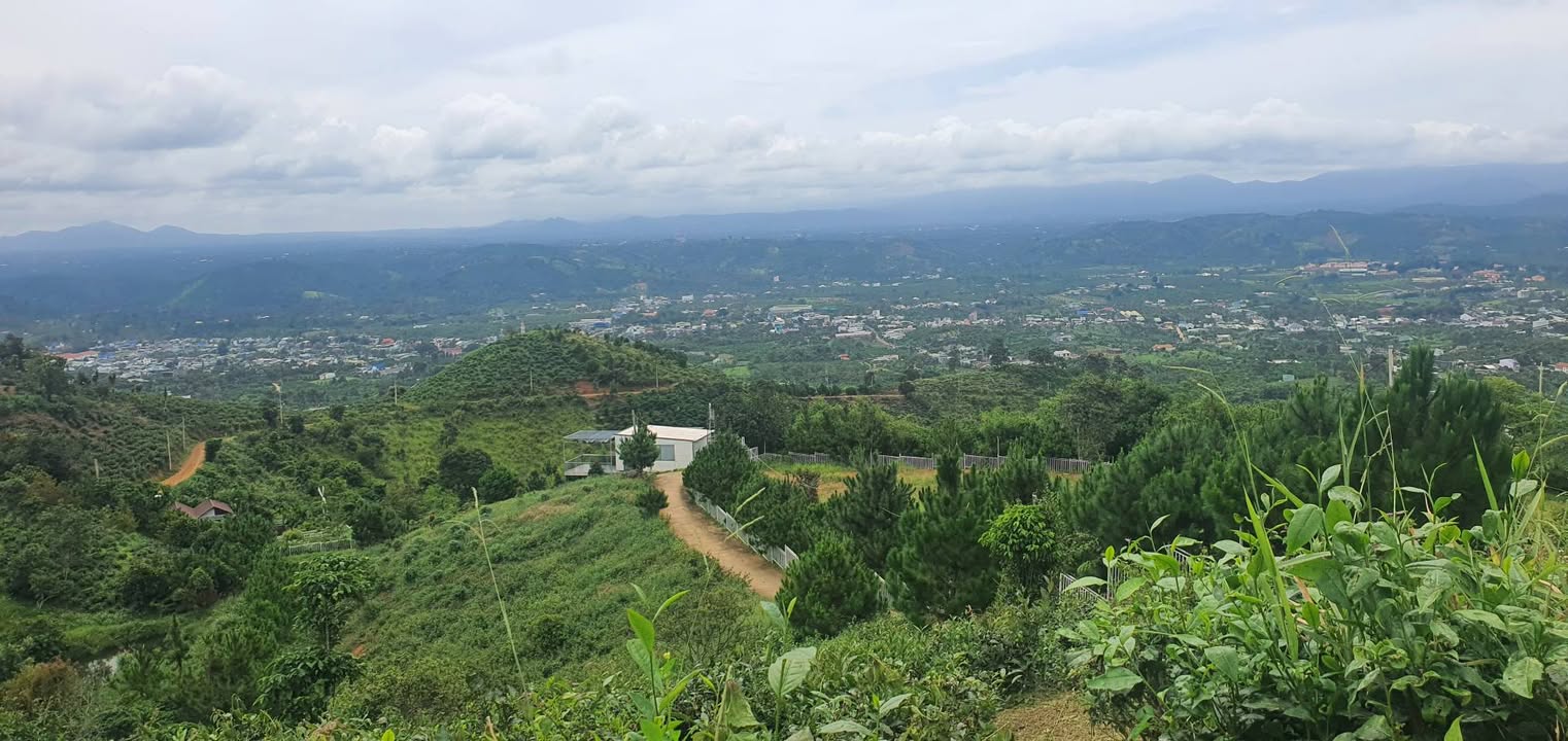 Đất Lộc Thành 1126m² góc 2 mặt tiền - Giá chỉ 890 triệu!