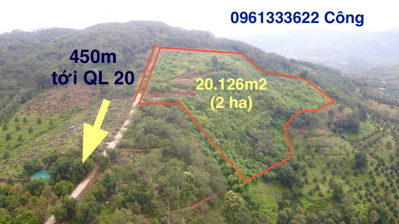 Đất Farm 2ha tại xã Hà Lâm, Đạ Huoai, giá 3.7 tỷ - Cơ hội đầu tư sinh lời!