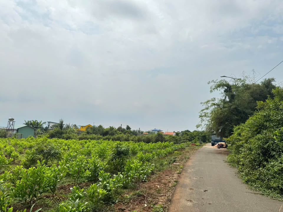 Đất nền Long Phước Bà Rịa 310m² giá 1.6 tỷ - Sổ hồng chính chủ, mặt tiền nhựa