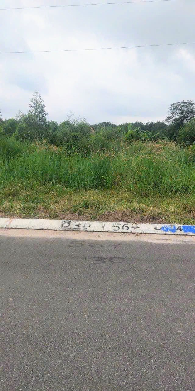 Đất nền An Điền Bến Cát 175m² giá 1.6 tỷ - Cơ hội đầu tư lý tưởng!