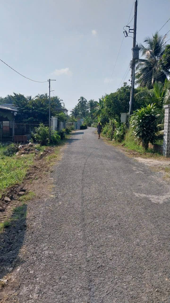 Đất vườn dừa 5.059m² mặt tiền đường nhựa - Giá chỉ 6.5 tỷ