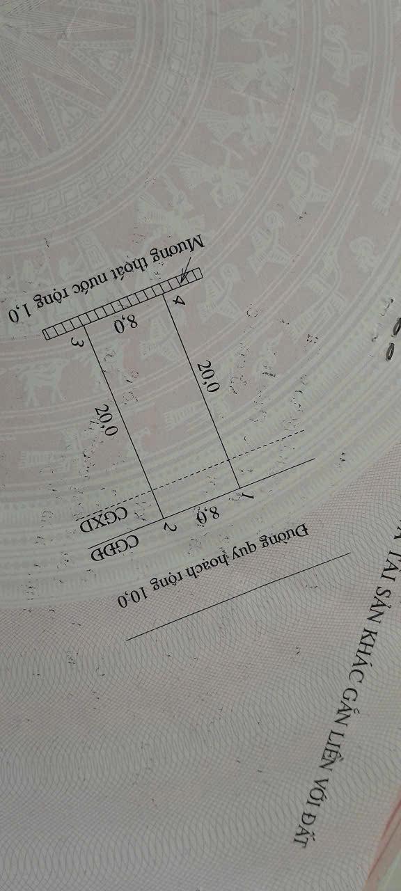 Nhà phố Hòa Hiếu Thái Hòa 160m² giá 2.55 tỷ - Mặt tiền đường nhánh 8m thông thoáng!