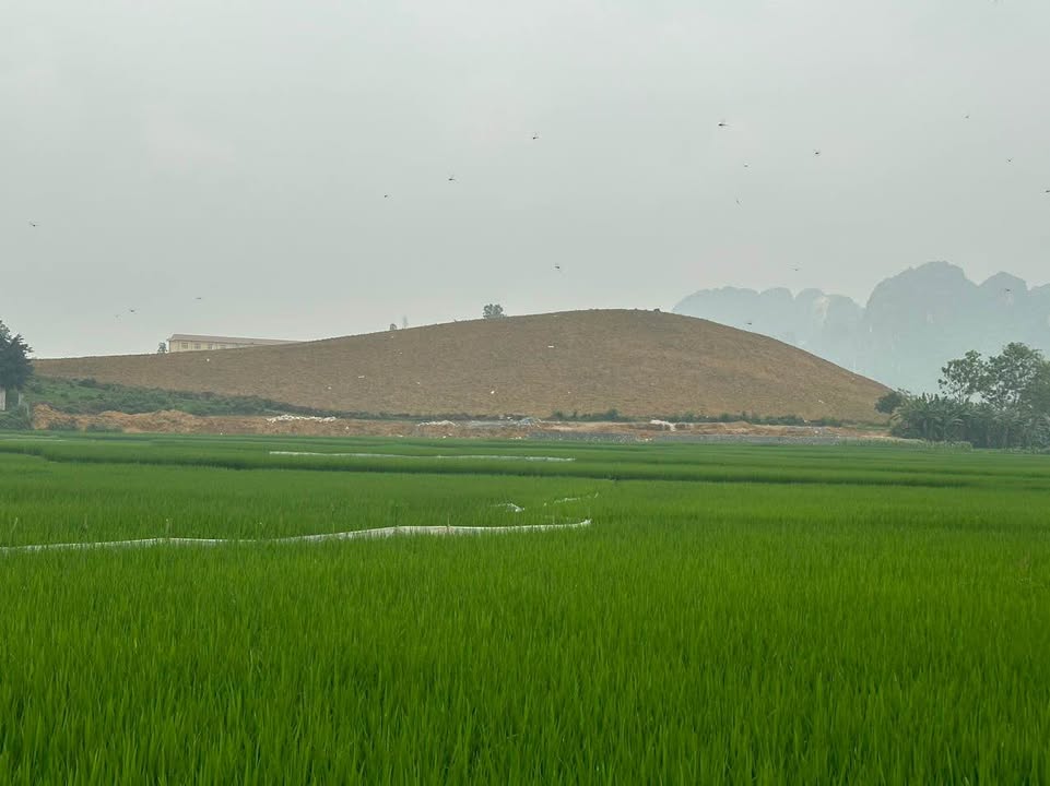 Đất rừng sản xuất 2.8ha tại Liên Sơn, Hòa Bình - Tiềm năng nghỉ dưỡng tuyệt vời!