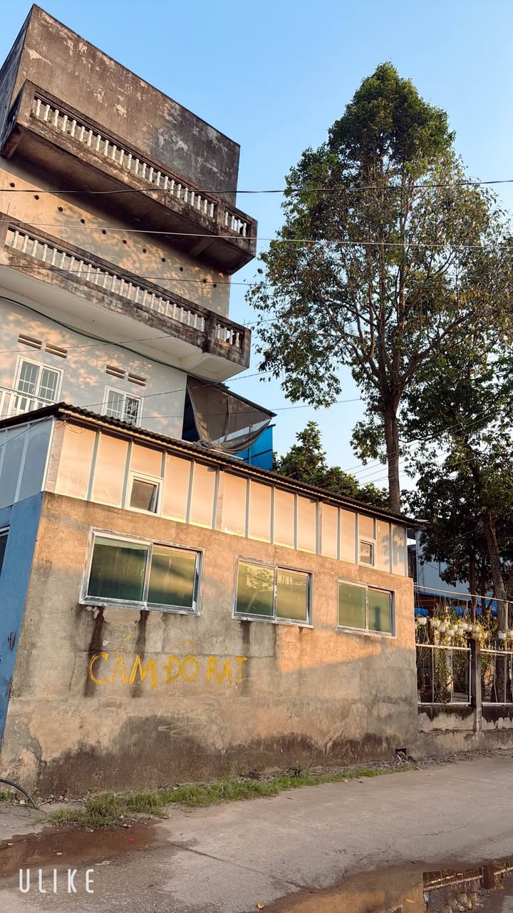 Nhà mặt tiền đường 2 ô tô Tân Đồng, Đồng Xoài 366m² giá 1 tỷ - Cơ hội đầu tư hấp dẫn!