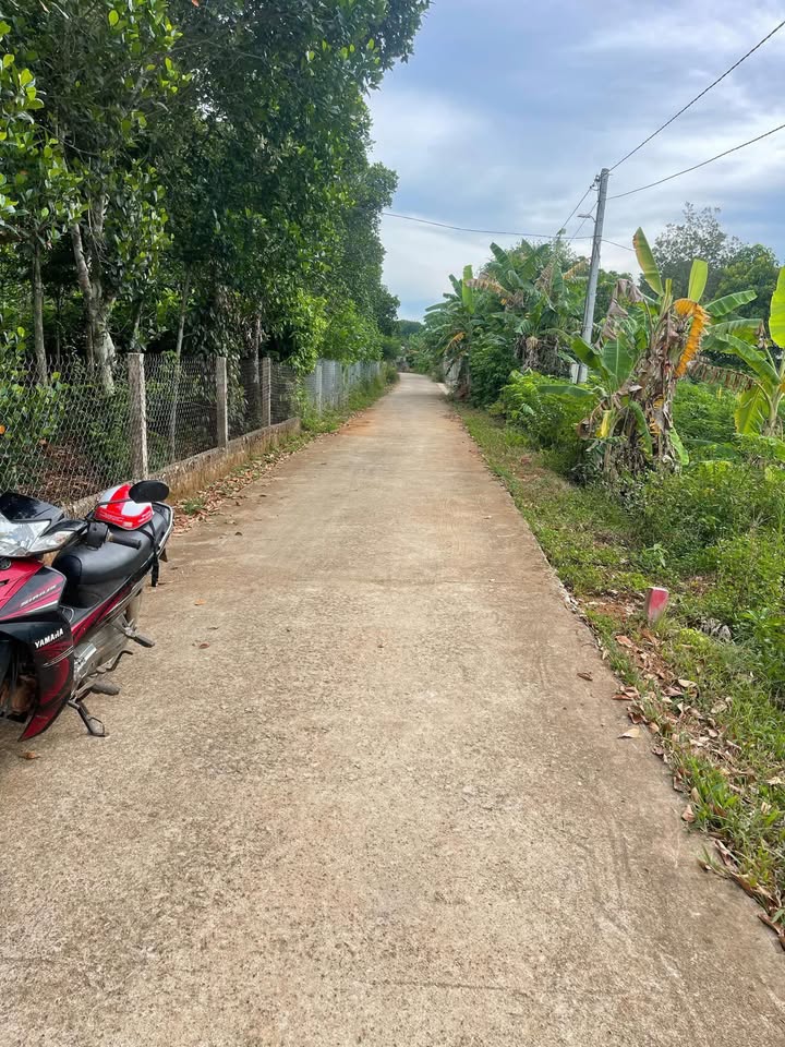 Đất nền Vĩnh Hoàng, Vĩnh Linh 175m² giá 100 triệu - Cơ hội đầu tư tuyệt vời!