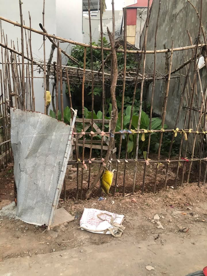 Đất nền 50m² tại Cầu Diễn, Bắc Từ Liêm - Giá đầu tư hấp dẫn!