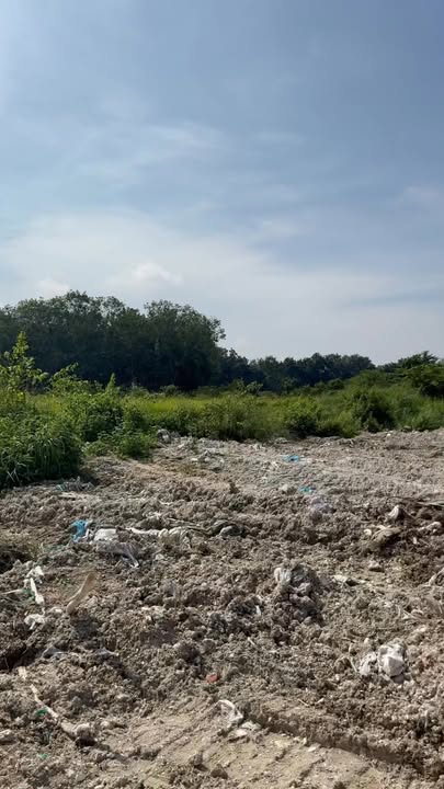 Đất thổ cư Vĩnh Tân, Tân Uyên 12.500m² giá 3.7 triệu - Đầu tư sinh lời ngay!