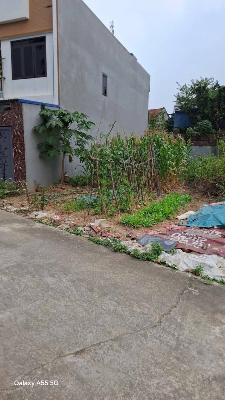 Đất nền Phú Xá Thái Nguyên 92,5m² giá 1,2 tỷ - Khu vực phát triển mạnh mẽ!