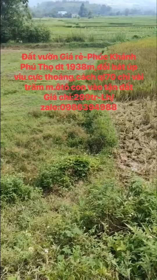 Đất vườn Phúc Khánh, Yên Lập 1938m² giá 299 triệu - Sẵn sàng lên thổ cư!