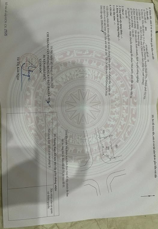 Đất dịch vụ An Thượng Hoài Đức 99m² - Lô góc, vị trí đắc địa!