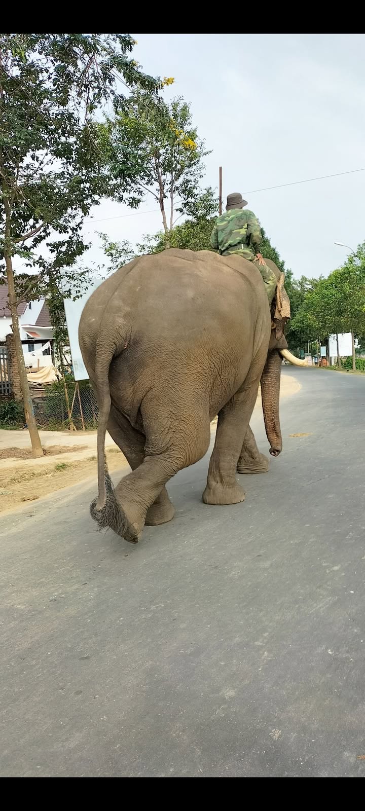 Nhà nguyên căn mặt đường Quốc lộ 27, xã Krông Nô, 260m² giá chỉ 1.45 tỷ - Cơ hội đầu tư tuyệt vời!