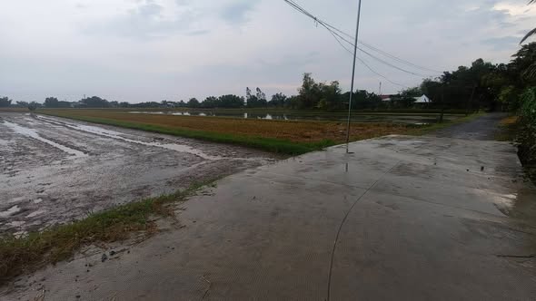 Đất thổ cư 6000m² tại Mỹ Hạnh Bắc, Đức Hòa - Giá chỉ 6 tỷ, thương lượng ngay!