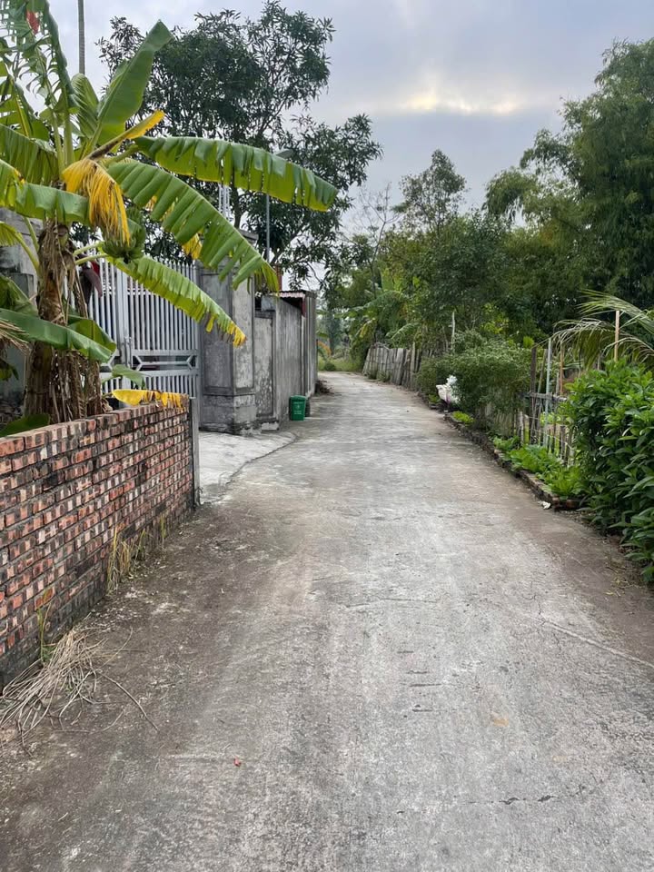 Đất nền Thụy Văn Thái Thụy 75m² giá 700 triệu - Đầu tư tiềm năng!