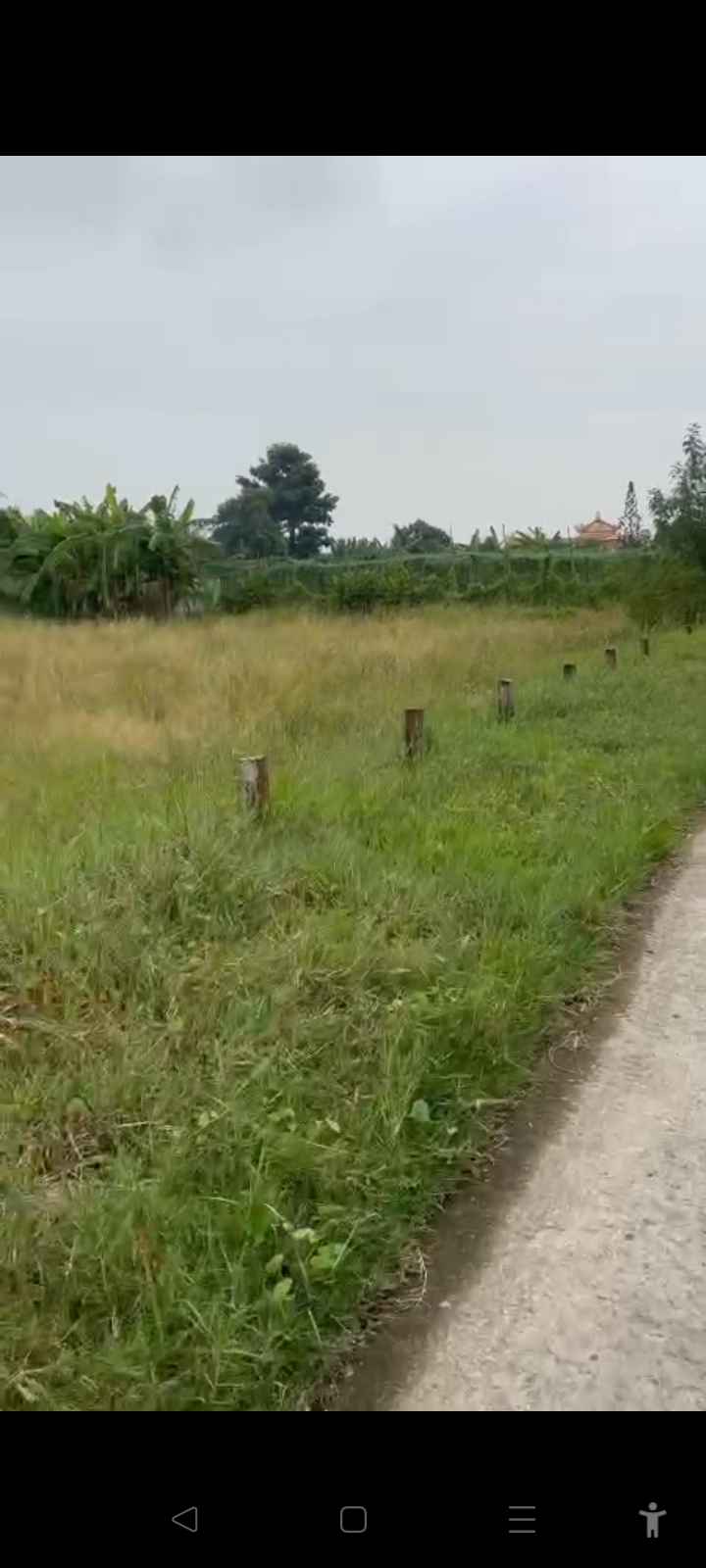 Đất ở phường Sơn Qui, Gò Công Đông, Tiền Giang 98m² - Cơ hội đầu tư tốt!