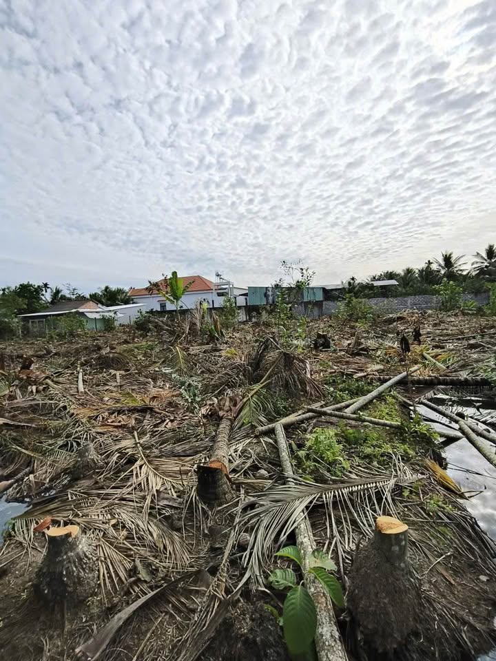 Đất thổ cư Long An 710m² giá 700 triệu - Cơ hội đầu tư tuyệt vời!