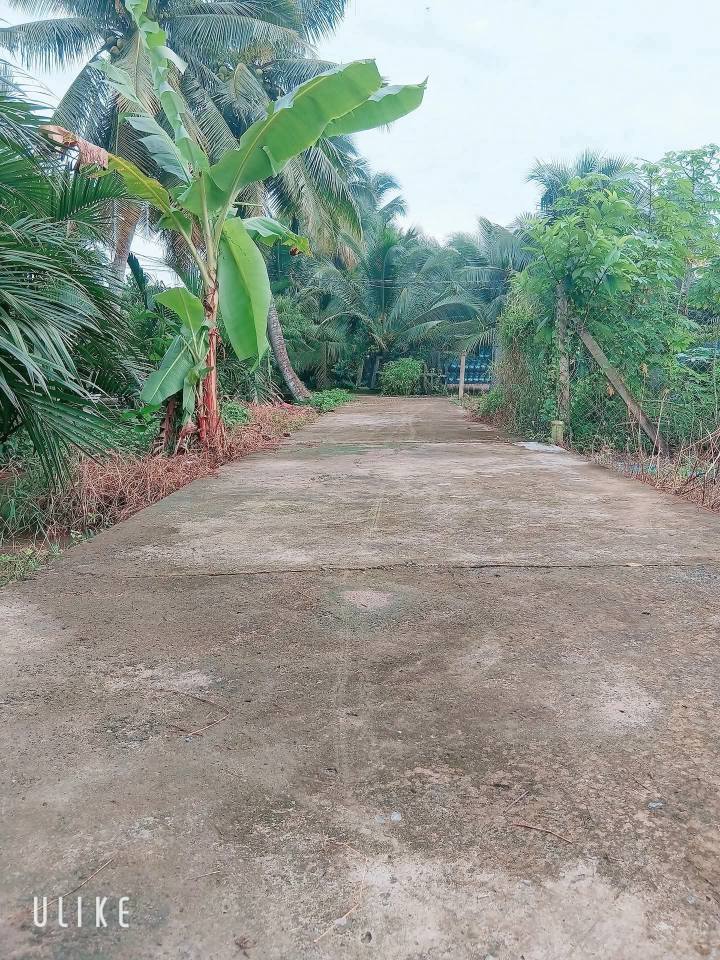 Đất nền Mỹ Hòa, Mỹ Phong, 96m² giá 399 triệu - Đường ô tô vào tận nơi!