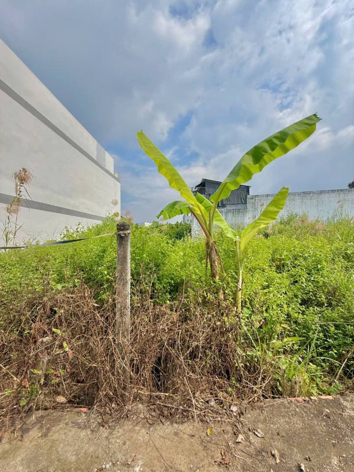 Lô đất đẹp Tân Mỹ Chánh 90m² giá 700 triệu - Đường ô tô, chính chủ!