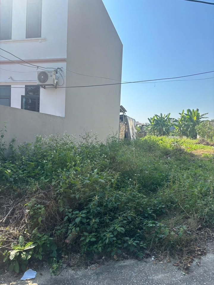 Đất nền Lương Phong - Hiệp Hòa 121m² giá 800 triệu - Cơ hội đầu tư hấp dẫn!