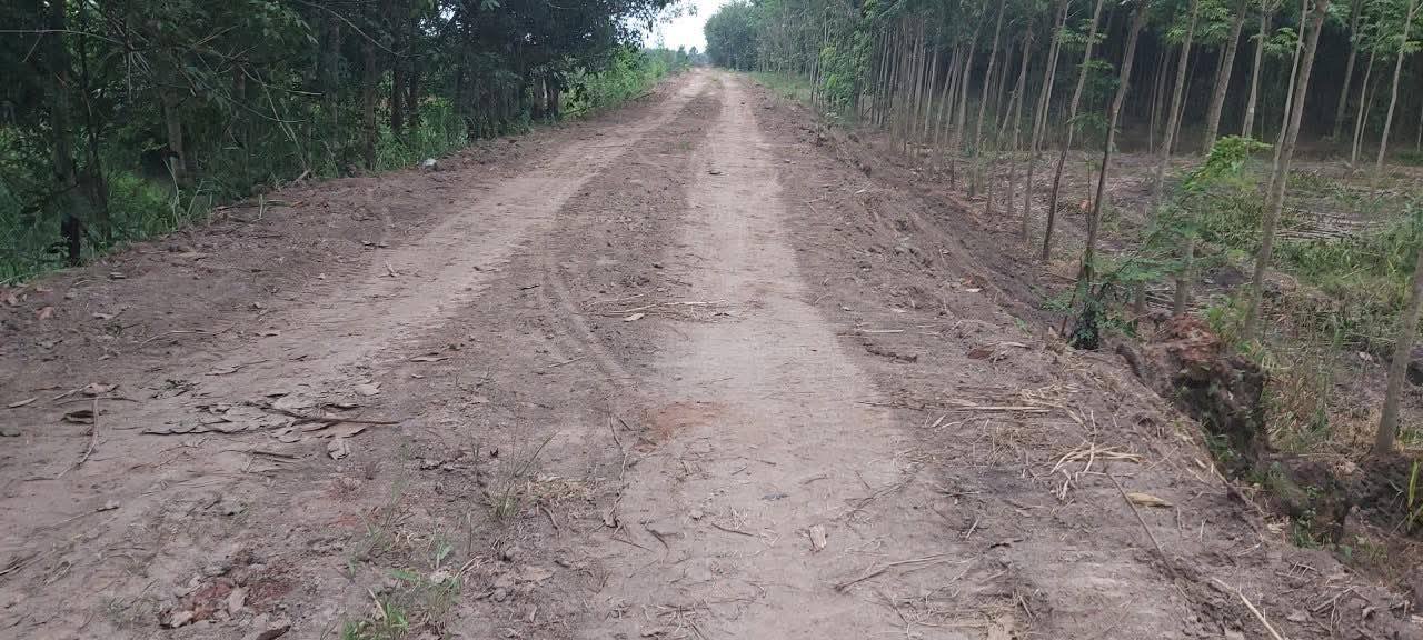 Đất trống 8 mẫu tại Tân Châu, Tây Ninh - Giá chỉ 10.4 tỷ - Cơ hội đầu tư sinh lời!