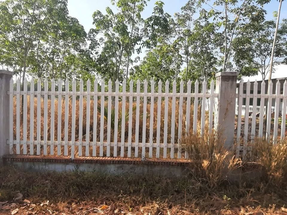 Bán đất Tân Thanh, xã Tân Phú, Tây Ninh 250m² - Giá hời chỉ 289 triệu!