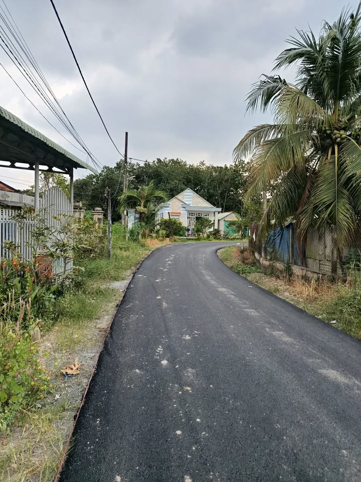 Đất thổ cư 252m² tại Gò Dầu, Tây Ninh - Đầu tư sinh lời hấp dẫn!