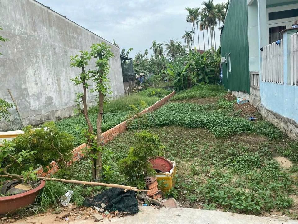 Đất thổ cư 159m² Nghĩa Chánh Phường Cẩm Thành - Giá chỉ 600 triệu VND