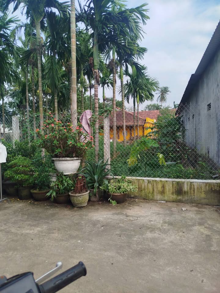 Đất nền hẻm 56 Trần Cẩm, Quảng Ngãi - 108m² chỉ 1.3 tỷ, hướng Tây Bắc!