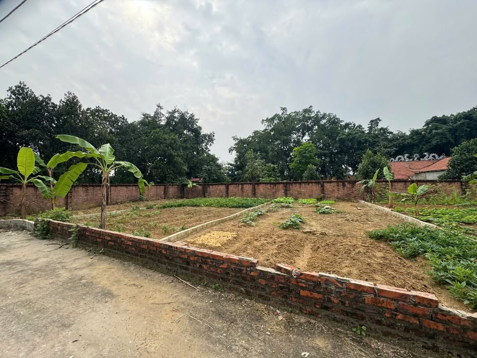 Đất thổ cư 100m² tại thôn 7 Tân Xã, Thạch Thất - Giá chỉ 3 tỷ, cơ hội đầu tư tuyệt vời!