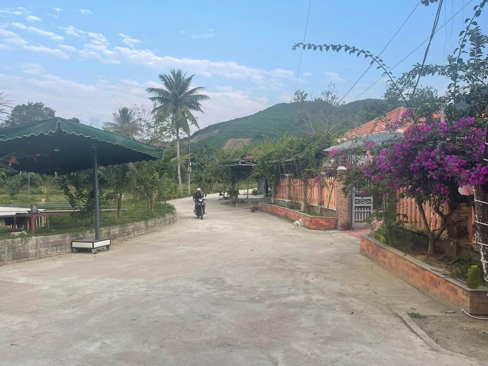 Đất thổ cư Hòa Nhơn 440m² giá 2 tỷ - Đầu tư sinh lời tại khu biệt thự hồ trước đông!