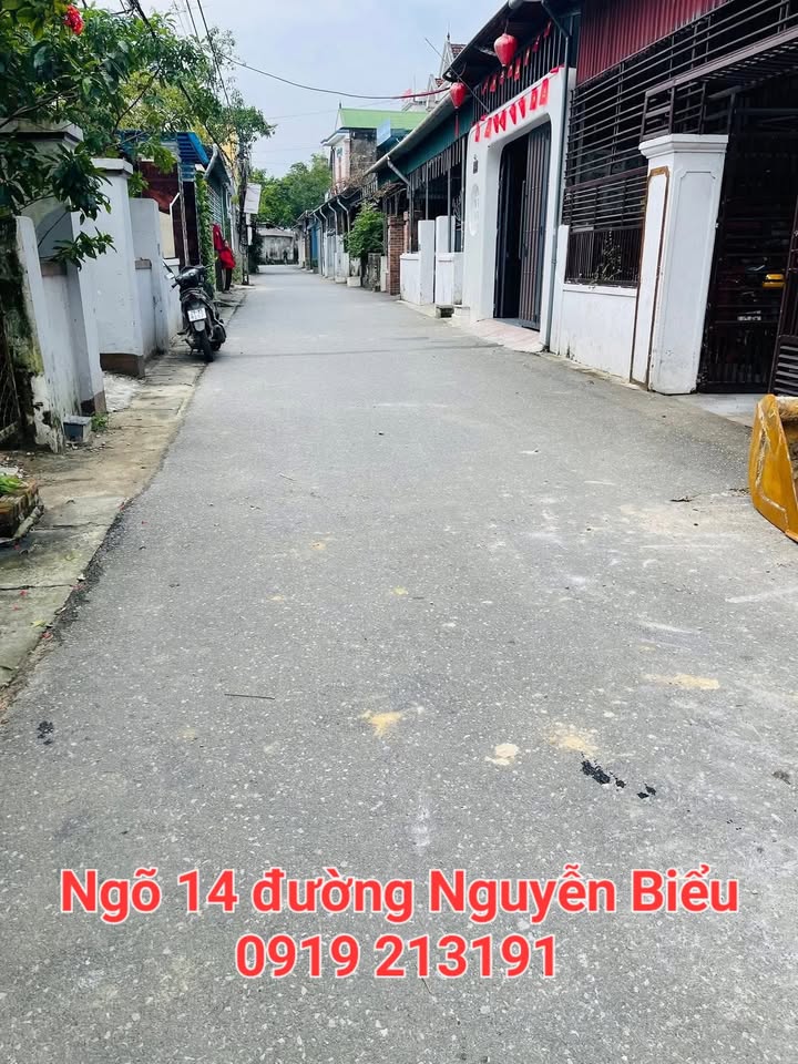 Đất nền đẹp tại ngõ 14 Nguyễn Biểu, 119.5m² giá 3 tỷ - Cơ hội đầu tư hiếm có!