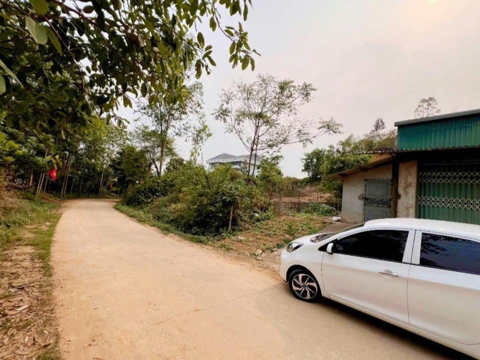 Đất thổ cư Trung Giáp - Phù Ninh 1000m² giá 1.4 tỷ - Đường thông thoáng, chính chủ bán!