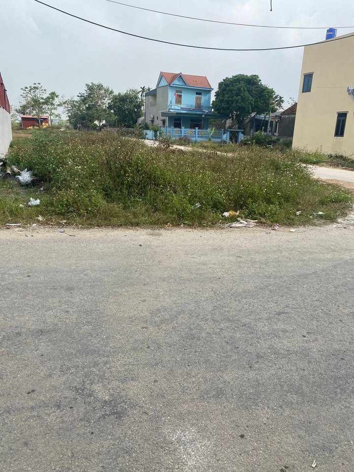 Đất nền chính chủ tại Nga Thủy, Thanh Hóa - Diện tích 100m², Giá thỏa thuận!