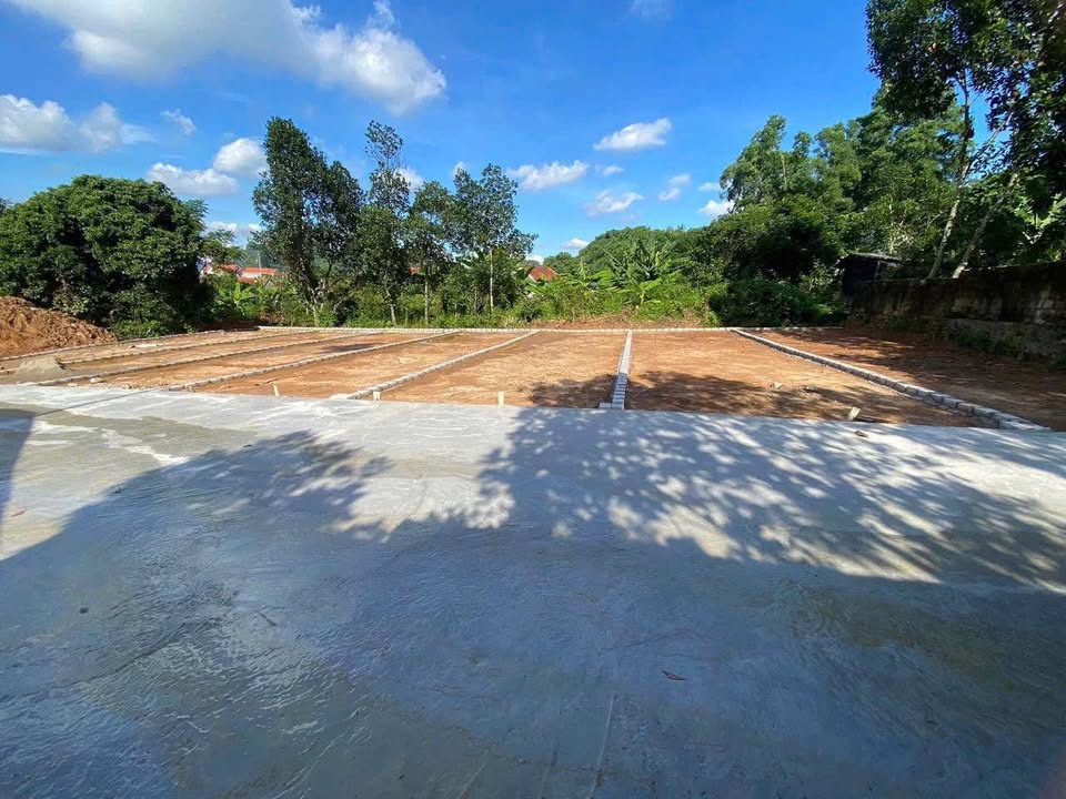 Đất nền Liên Khê, Thủy Nguyên 61.5m² giá chỉ 300 triệu - Cơ hội đầu tư tuyệt vời!