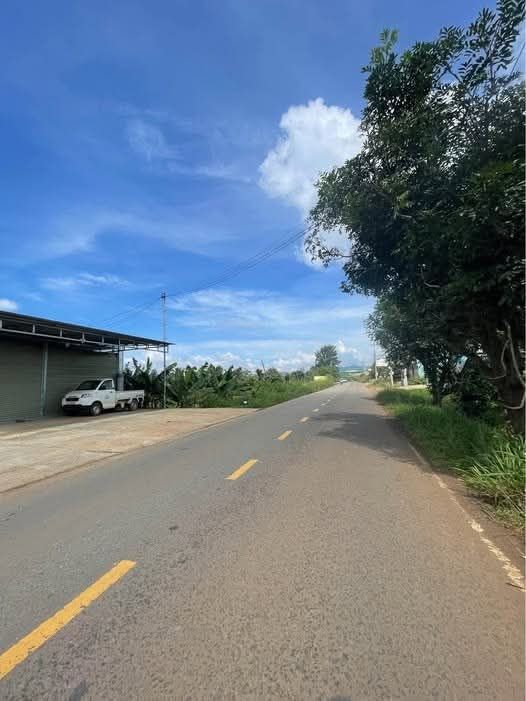 Đất mặt tiền Quốc lộ 20 xã Phú Hội 455m² - Kinh doanh thuận lợi!