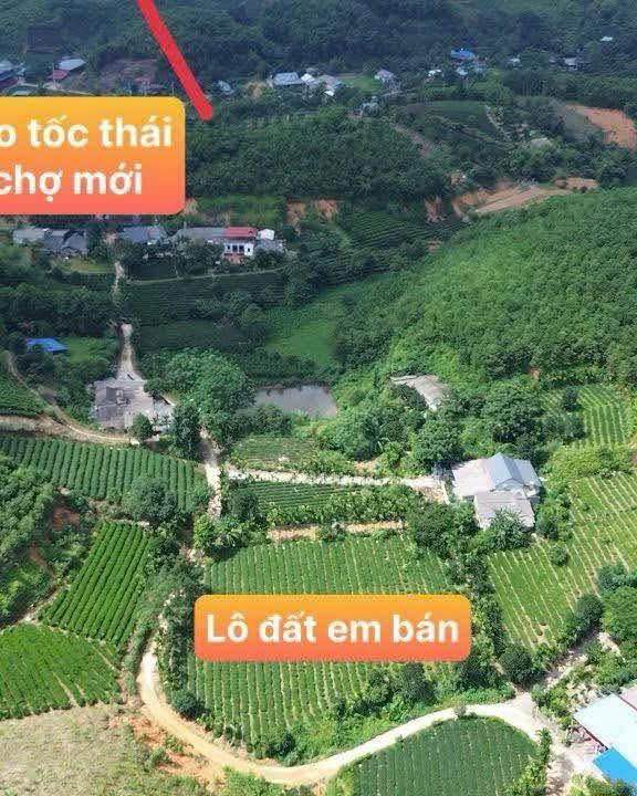 Đất vườn 3500m² tại Vô Tranh, Phú Lương, Thái Nguyên - Pháp lý rõ ràng, giá chỉ 3.1 tỷ!