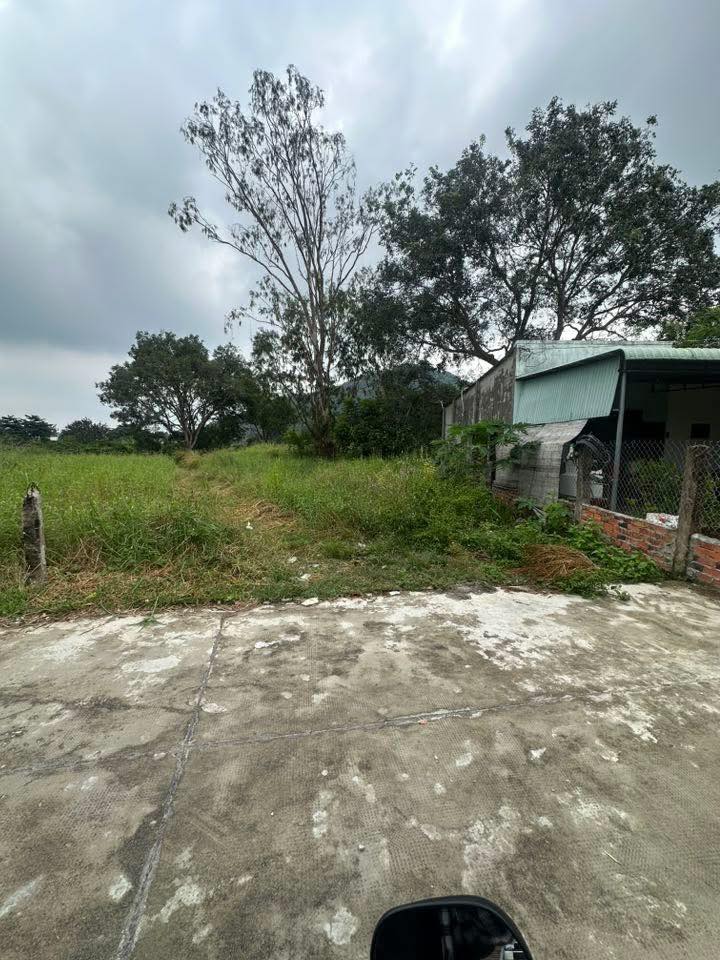 Đất thổ cư 300m² tại thị trấn Thuận Nam, giá chỉ 400 triệu - Cơ hội đầu tư sinh lời!