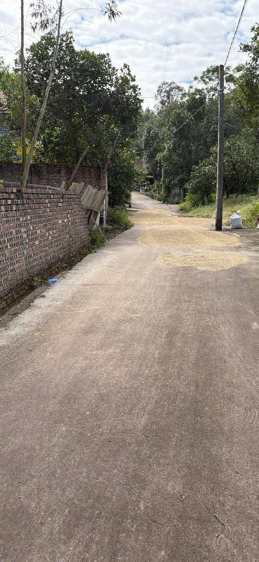 Đất thổ cư 500m² tại Nội Hoàng, Bắc Ninh - Ô tô vào tận đất, giá hấp dẫn!