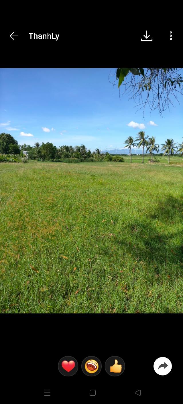 Đất mặt đường thôn Kiền Kiền, Ninh Thuận 4500m² - Giá tốt, thuận tiện kinh doanh!