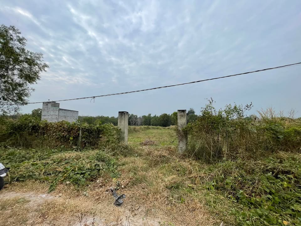 Đất nền Định An Dầu Tiếng 1000m² giá 550 triệu - Sổ hồng riêng chính chủ!