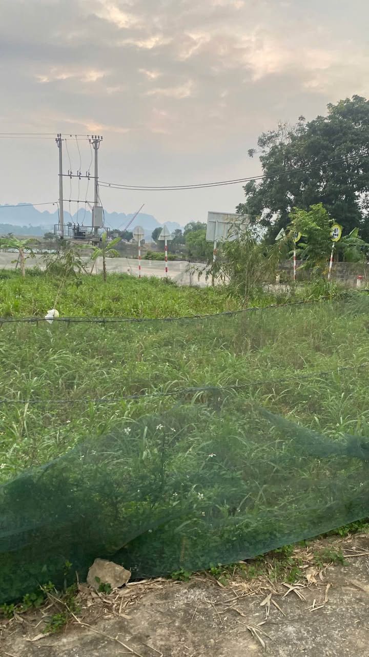 Đất mặt hồ Thạch Bình Nho Quan 1232m² giá 2 tỷ - Cơ hội đầu tư tuyệt vời!