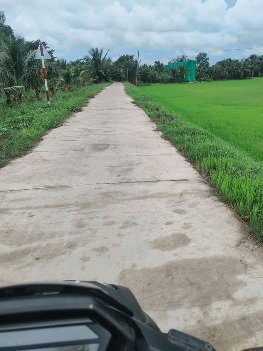 Đất ruộng mặt tiền ô tô Tân Thạnh, Cần Thơ 5000m² - Giá chỉ 200 triệu/công!