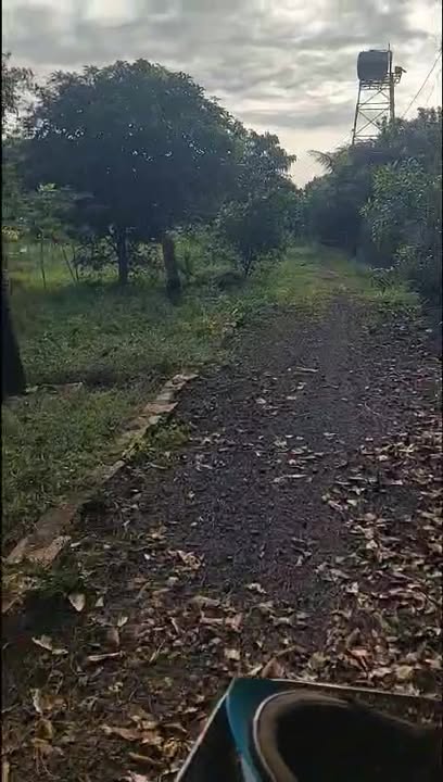 Đất nền Long Phước Bà Rịa 10,000m² giá 13 tỷ - Đầu tư tiềm năng nghỉ dưỡng!